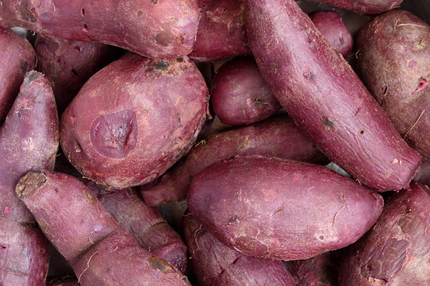 煮紫薯2图片下载