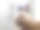 拉布拉多犬准备好走了，抓起一个面罩图片下载
