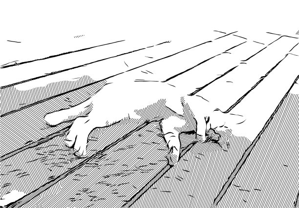 画一只躺在地上的猫图片下载