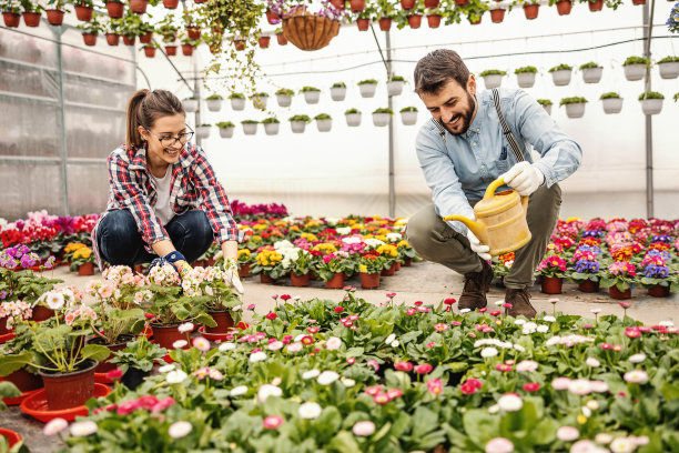 两名微笑的园丁蹲着为国际妇女节准备鲜花。绿色房子内部。图片下载