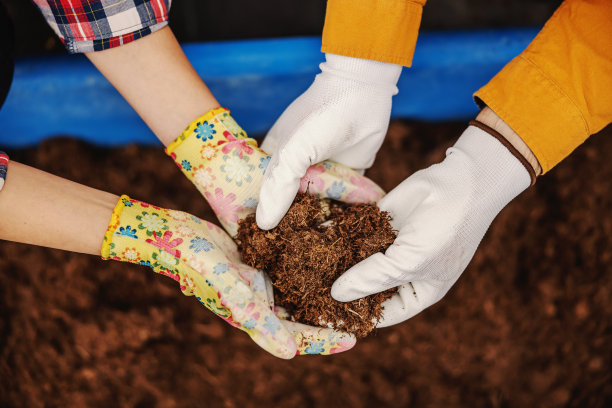 两个专门的植物学家混合土壤种植花的特写。温室内部。图片下载