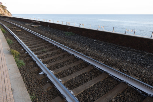 马纳罗拉火车站的火车轨道图片下载