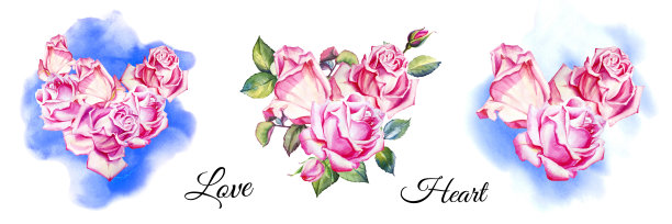 水彩桉树花和玫瑰心花束收集。手绘插图。花团锦簇，怒放。蓝色背景的玫瑰。图片下载