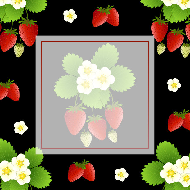 黑色背景上的红草莓和花横幅。矢量插图。图片下载