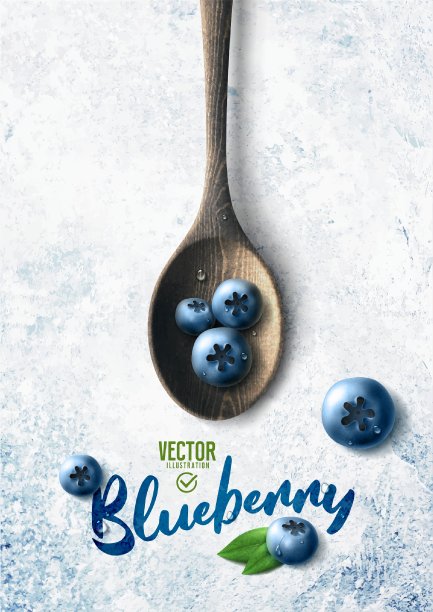 矢量现实的蓝莓插图，木勺和树叶在白色的石头背景图片下载