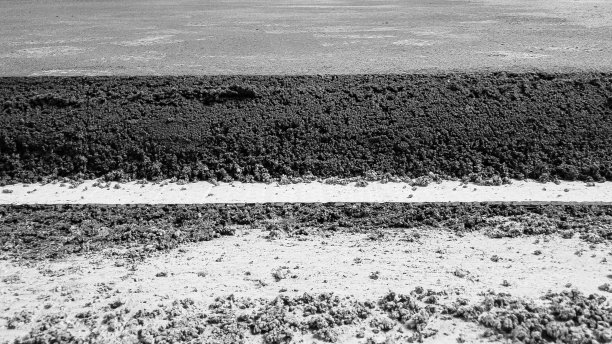 钢筋混凝土板上的砂浆层图片下载