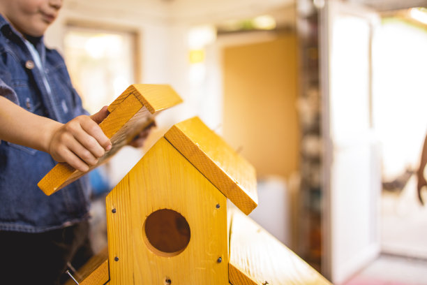 小男孩正在组装鸟笼图片下载