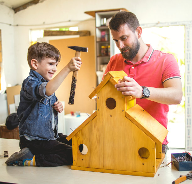爸爸和儿子在做鸟窝图片下载