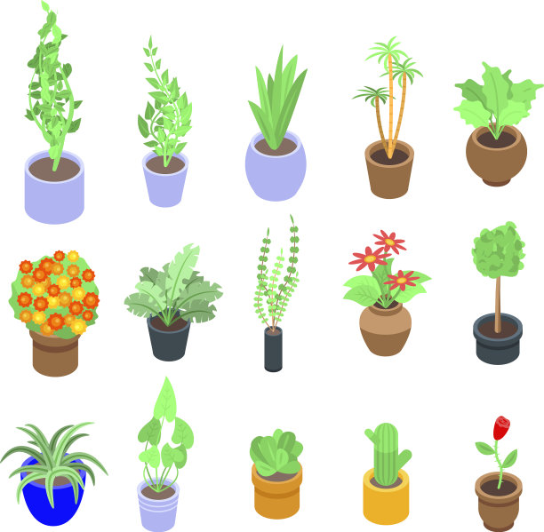 室内植物图标设置等距风格图片下载