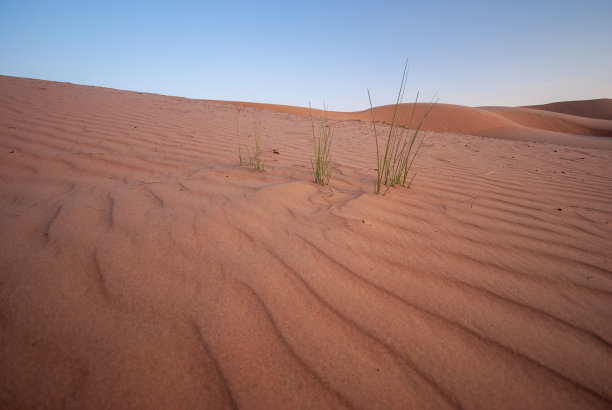 阿曼的沙尔基亚沙漠图片下载