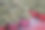 仓库热带水果之王榴莲。图片下载
