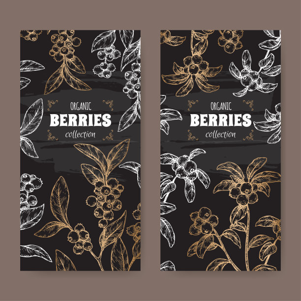 两套黑色标签蓝莓又名越橘橘又名越橘枝素描。图片下载
