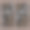 两套黑色标签蓝莓又名越橘橘又名越橘枝素描。图片下载