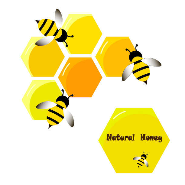 蜜蜂黄蜂蜂蜜在扁平风格。白色背景上的天然产品图标。图片下载
