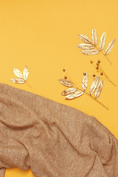 秋天舒适的针织衣服和装饰彩绘金叶。黄色背景的时髦温暖的女人围巾。女性服装。时尚的概念。前视图。图片下载