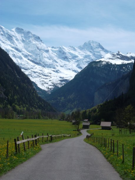 这样走图片下载