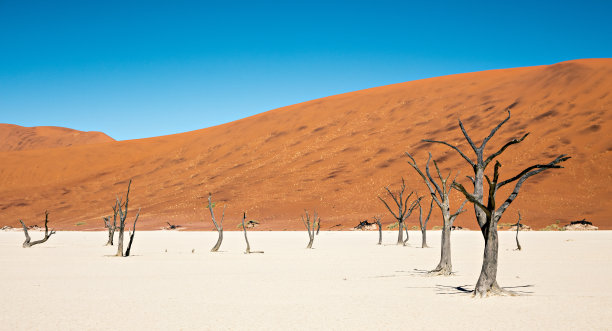 纳米比亚·德莱图片下载