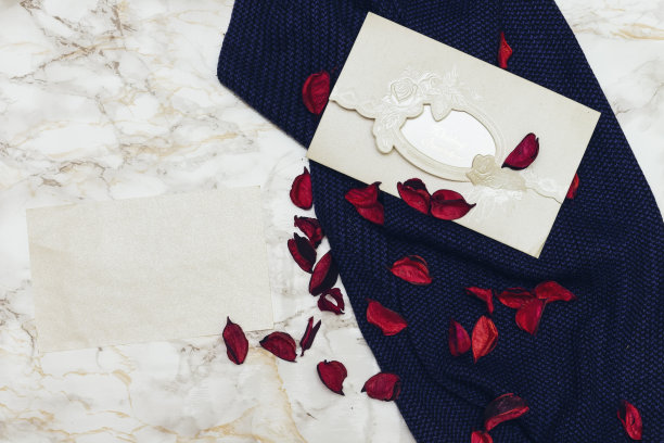 婚礼请柬上面有冬蓝色围巾和红色干花装饰图片下载