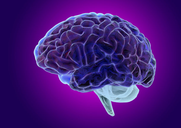 3D渲染黑色纹理人脑插图在紫色BG素材图片