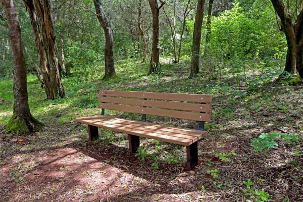 森林中的长椅图片下载