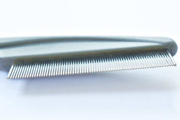 细齿梳，红色橡胶手柄，用于捕捉蜱或跳蚤给狗和猫图片下载