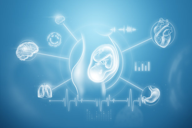 一个胎儿，一个胎儿在女孩腹部，一个全息图。怀孕的概念，人工授精，医学检查，医学的未来。3D插图，3D渲染。图片下载