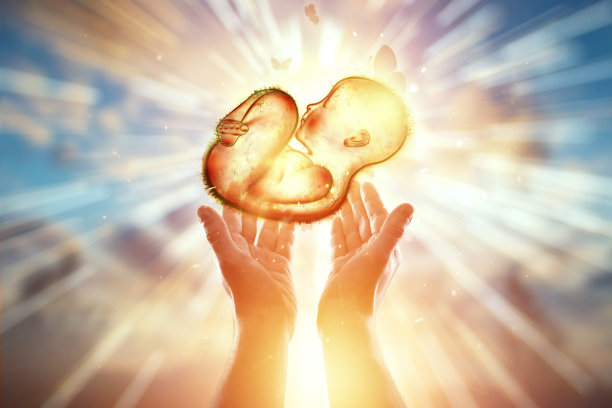 人工授精，在手上。孩子处于胎位，胚胎发育。怀孕的概念，体检，医学的未来。图片下载