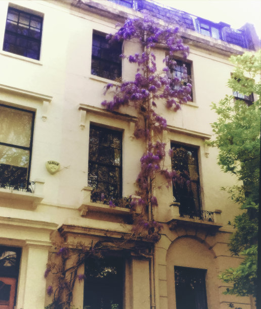 诺丁山图片下载