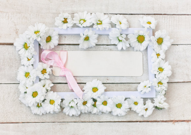 白色的菊花，带粉红丝带的纸标签，框架在白色的木桌上图片下载