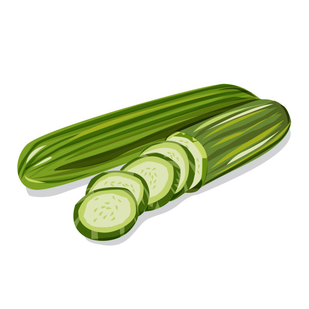 水果和蔬菜插图黄瓜矢量在白色的背景图片下载