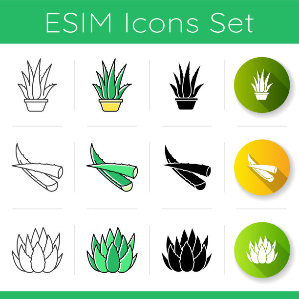 芦荟图标集。盆栽盆栽芦荟。仙人掌芽和多汁的叶子。植物芽。皮肤病。线性，黑色和RGB颜色样式。孤立的矢量插图图片下载