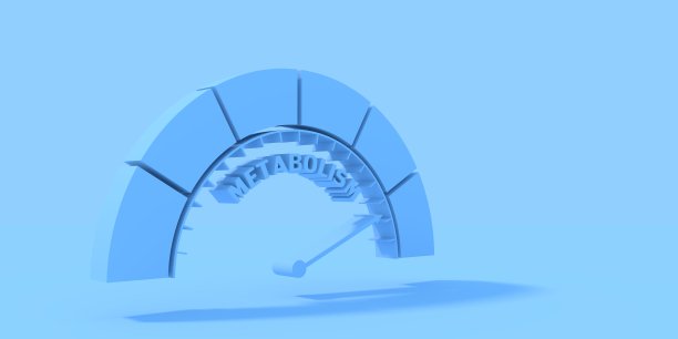 代谢水平的概念图片下载
