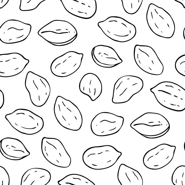 无缝模式与花生孤立的白色背景。坚果的素描。手绘矢量插图。特写瓷砖纹理包装和包装食品的设计。图片下载