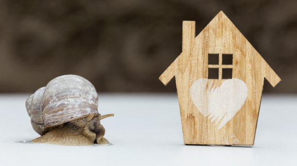 花园蜗牛和白色背景上的小房子，概念图片下载