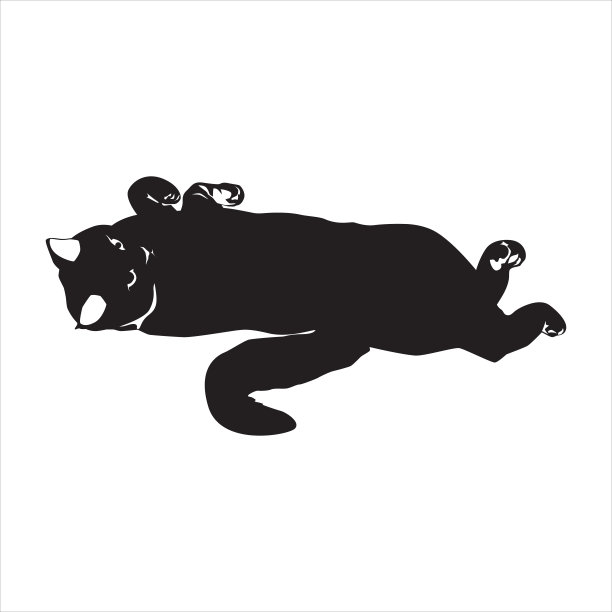 猫黑色剪影在白色矢量插图图片下载