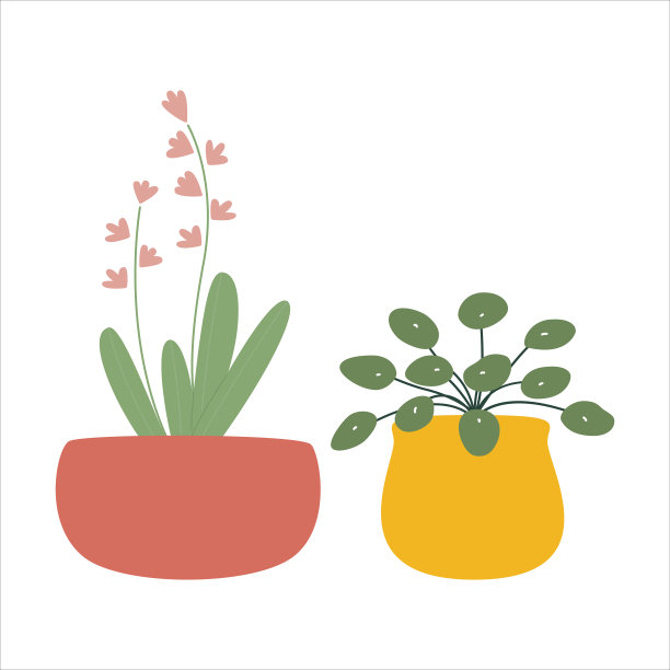 Pilea和雪花莲。一套室内盆栽植物。图片下载