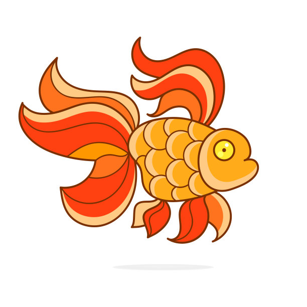 金鱼，现实插图在一个白色的背景图片下载