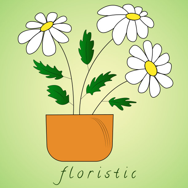 各种室内植物，绿色背景上的特写图片下载