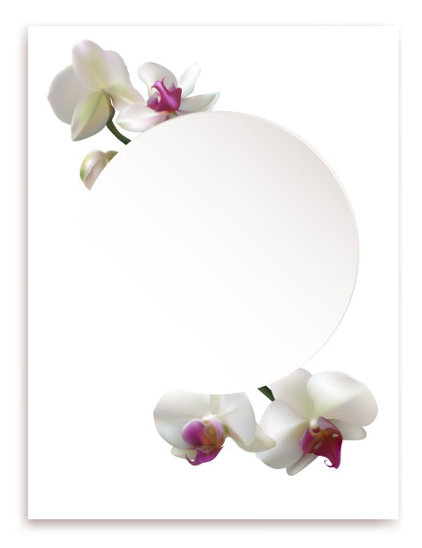 白色的兰花。美丽的充满异域风情的花朵。热带的背景。花瓣。花朵图案。图片下载