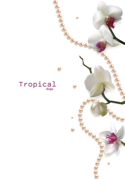 白色的兰花。美丽的充满异域风情的花朵。热带的背景。花瓣。花朵图案。珍珠。珠宝。图片下载