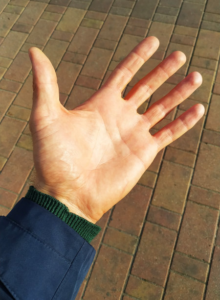 一个欧洲人在阳光下张开手掌。图片下载