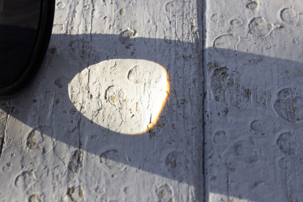 有机阴影在白色的桌子上，覆盖效果的照片，布局，海报，文具，墙壁艺术，演示设计。图片下载