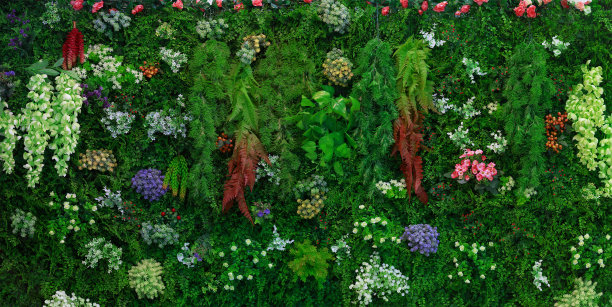 塑料树墙的特写图片下载