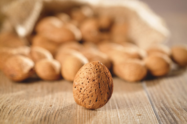大量杏仁被用于饮食，因为它们富含蛋白质和能量图片下载