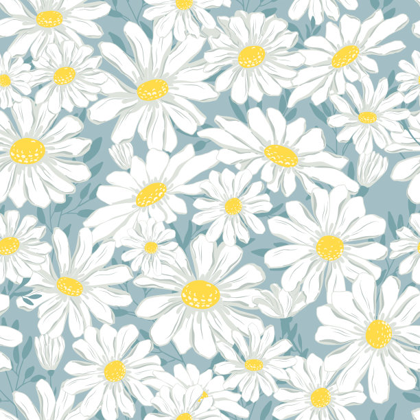洋甘菊无缝模式。素材图片