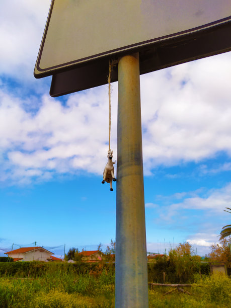 一个小的假塑料斑马挂在绳子上，在花园里的一个违背自然的标志下图片下载