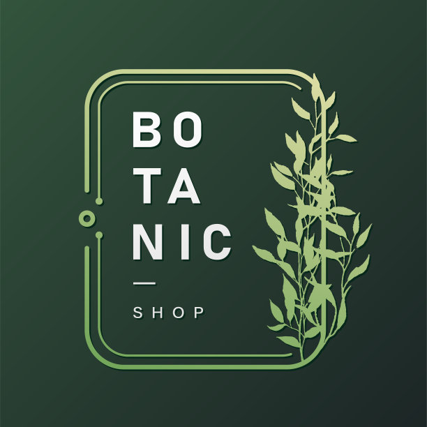 花卉框架与样本文本在极简设计图片下载