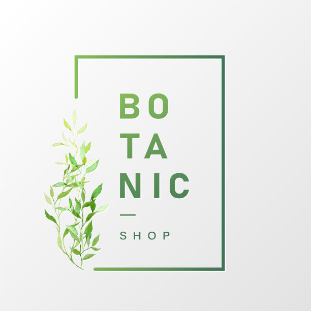 花卉框架与样本文本在极简设计图片下载