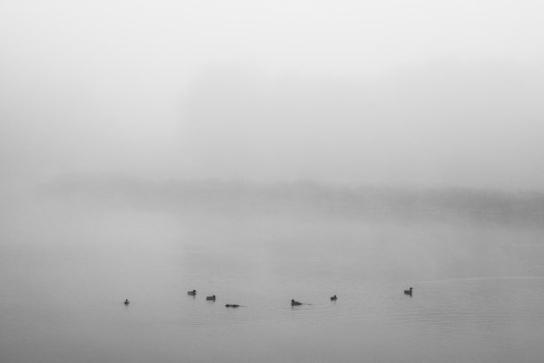 雾湖景观在黑色和白色图片下载