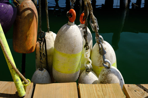 五颜六色的龙虾彩车装饰着缅因州海岸的木制龙虾码头图片下载